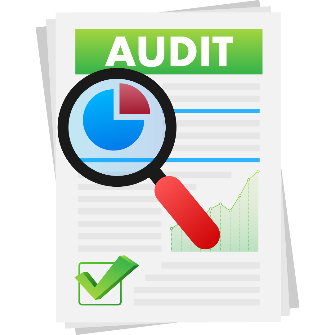 audit
